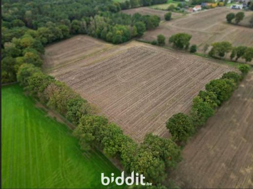 Derde alternatieve foto van het pand