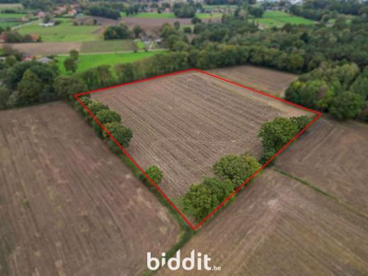 Presentatiebeeld van het pand n° 288422