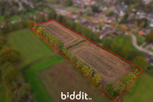 Presentatiebeeld van het pand n° 288422