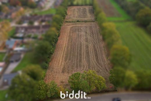 Derde alternatieve foto van het pand