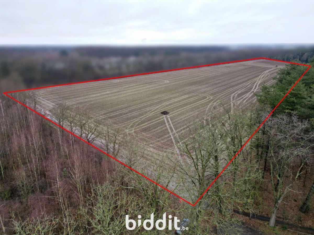 Presentatiebeeld van het pand n° 292475