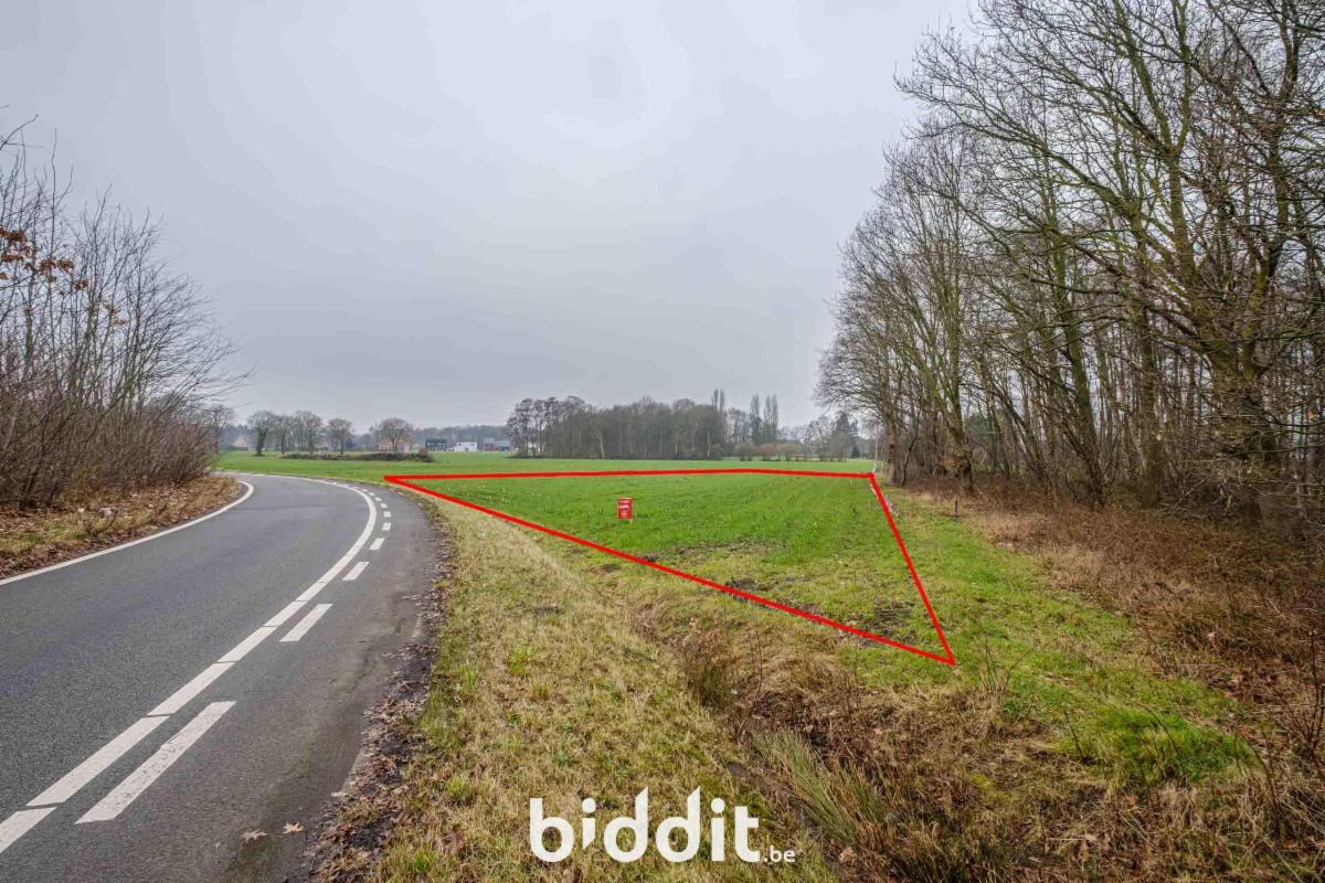 Presentatiebeeld van het pand n° 296517