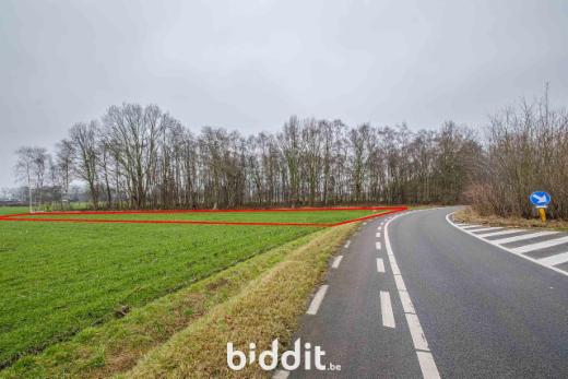 Eerste alternatieve foto van het pand
