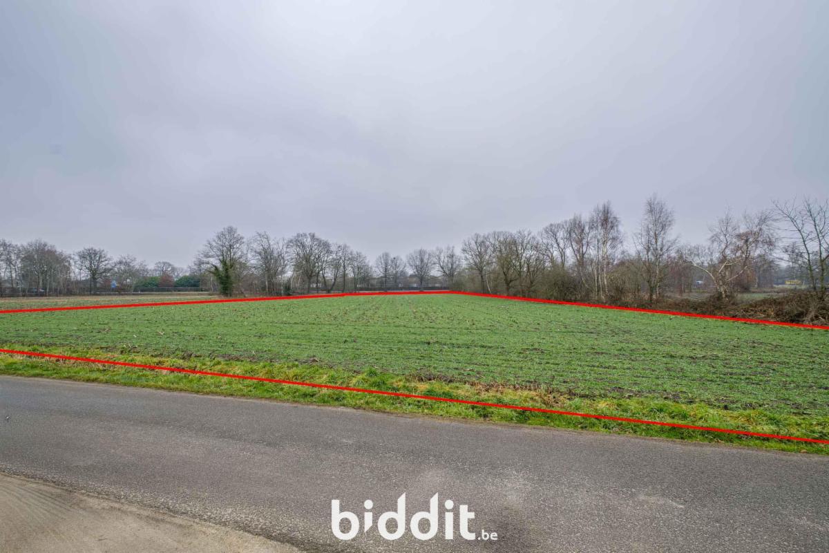 Presentatiebeeld van het pand n° 296521