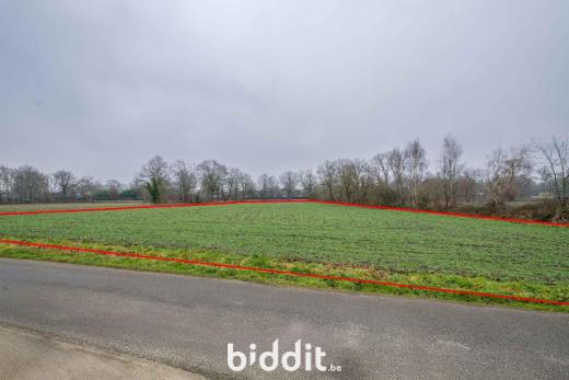 Presentatiebeeld van het pand n° 296521