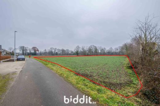 Eerste alternatieve foto van het pand