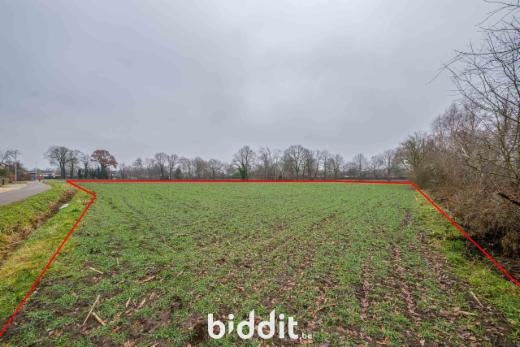 Derde alternatieve foto van het pand