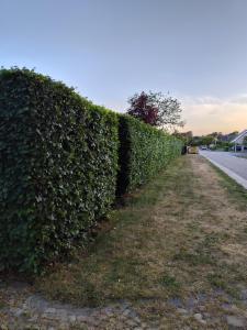 Derde alternatieve foto van het pand