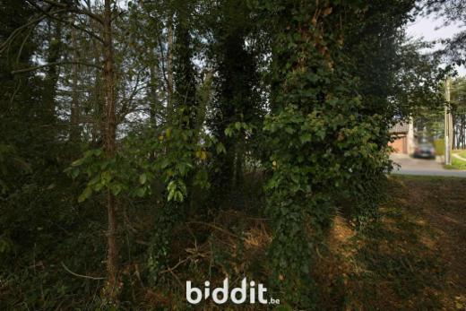Derde alternatieve foto van het pand