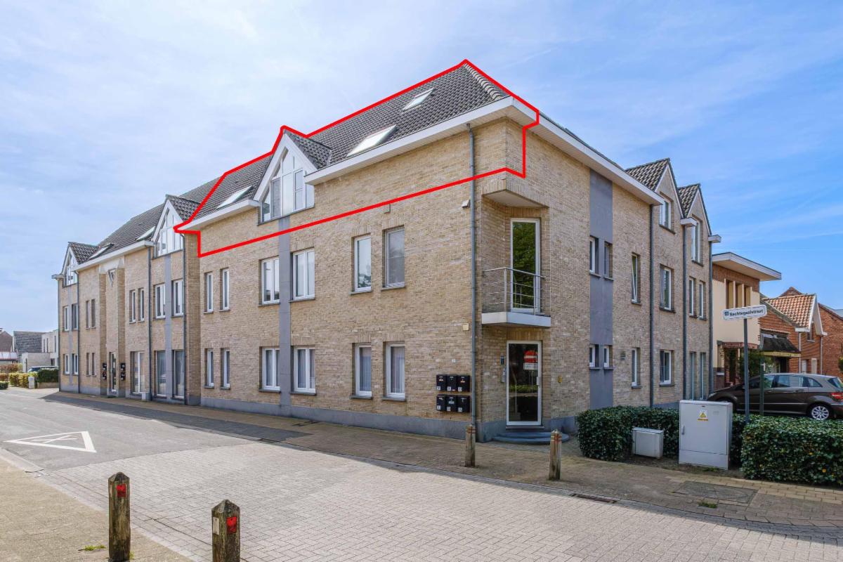 Presentatiebeeld van het pand n° 295997