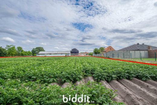 Derde alternatieve foto van het pand