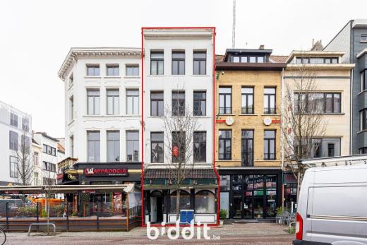 Presentatiebeeld van het pand n° 290380