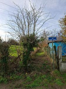 Derde alternatieve foto van het pand