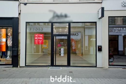 Presentatiebeeld van het pand n° 282296