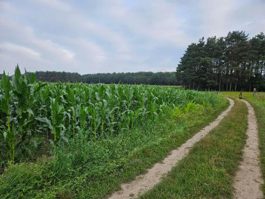 Eerste alternatieve foto van het pand