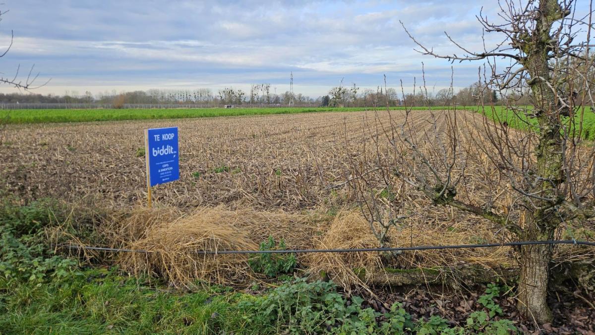 Presentatiebeeld van het pand n° 292712