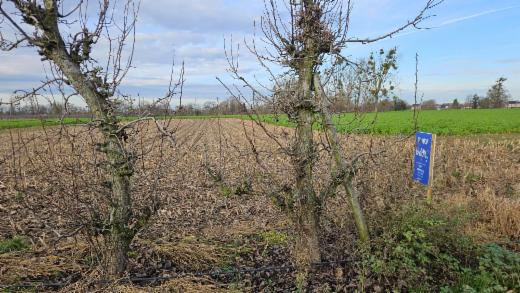 Eerste alternatieve foto van het pand