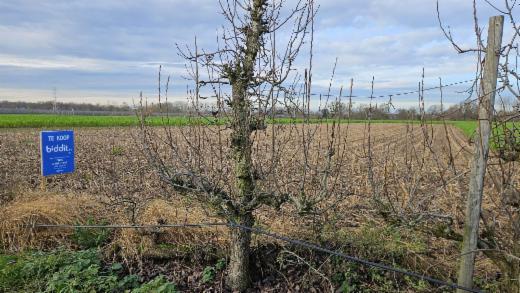 Tweede alternatieve foto van het pand