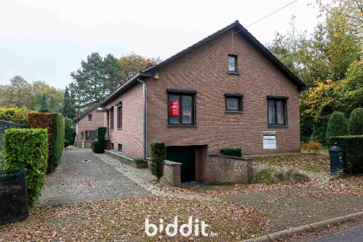 Presentatiebeeld van het pand n° 293095