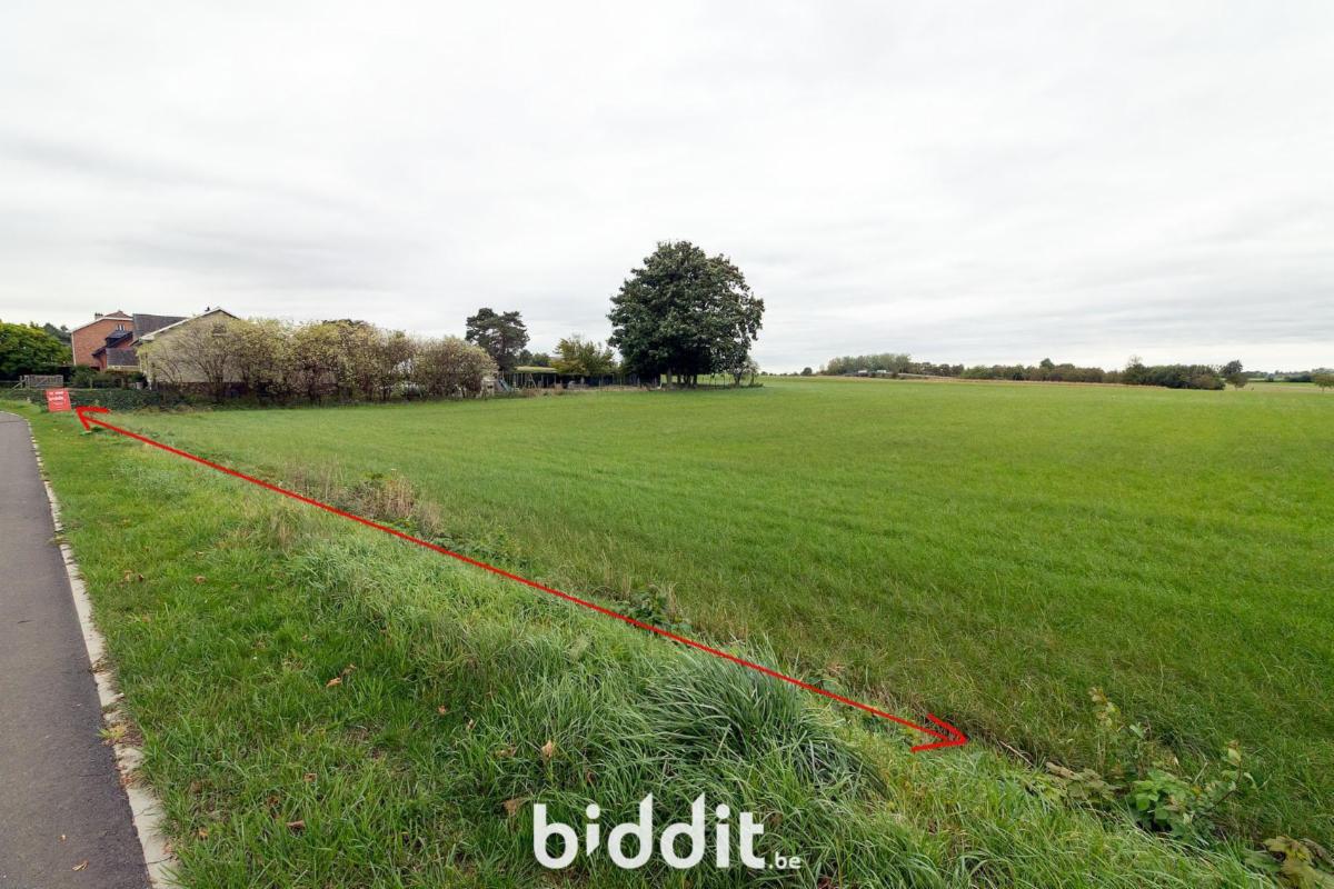 Presentatiebeeld van het pand n° 294548