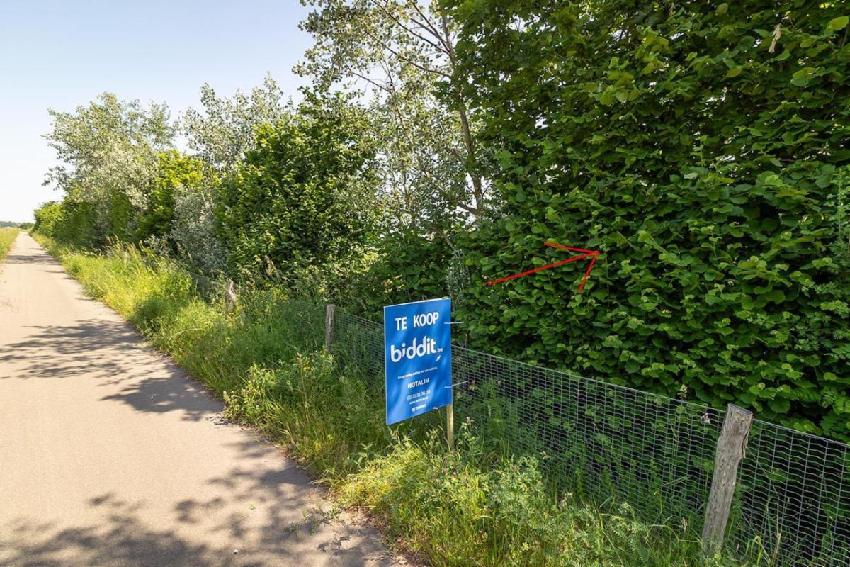 Presentatiebeeld van het pand n° 297143