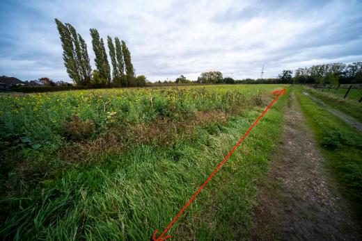 Derde alternatieve foto van het pand