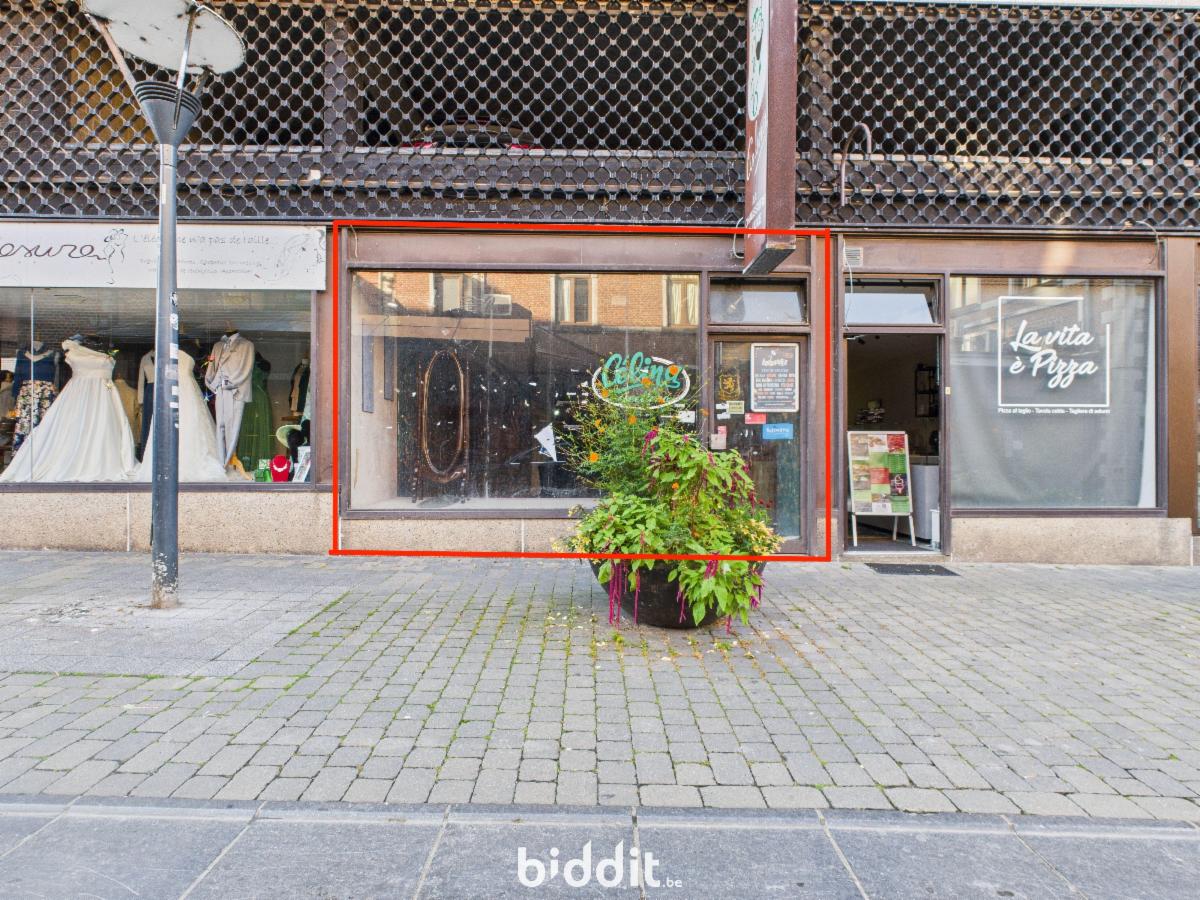 Presentatiebeeld van het pand n° 285801