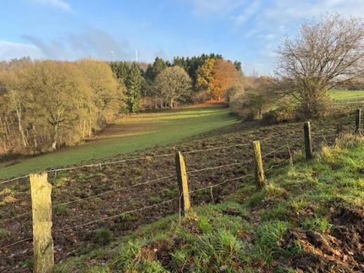 Derde alternatieve foto van het pand