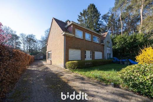 Presentatiebeeld van het pand n° 289901