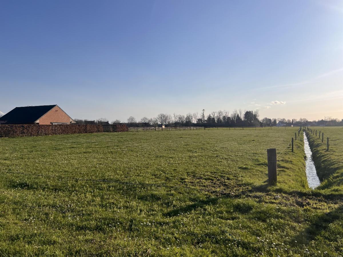 Presentatiebeeld van het pand n° 294151