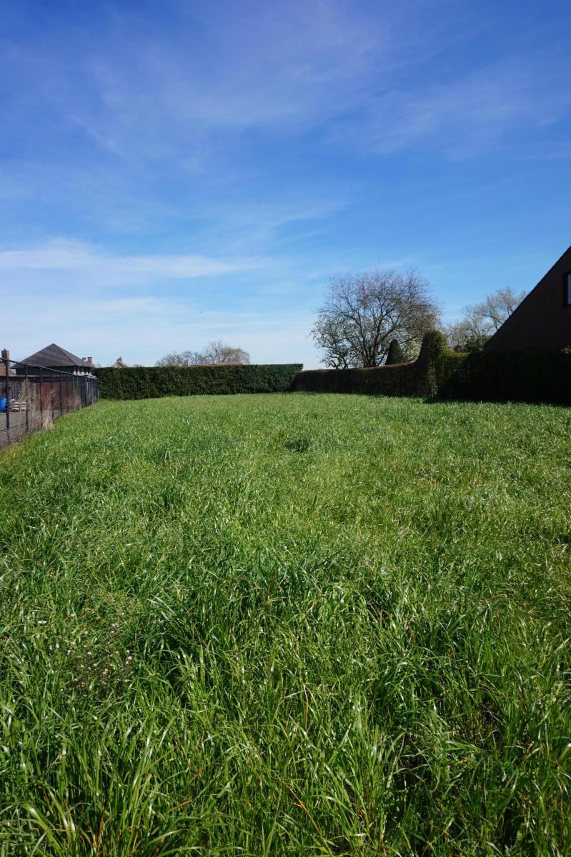 Presentatiebeeld van het pand n° 295090