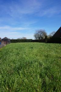 Presentatiebeeld van het pand n° 295090