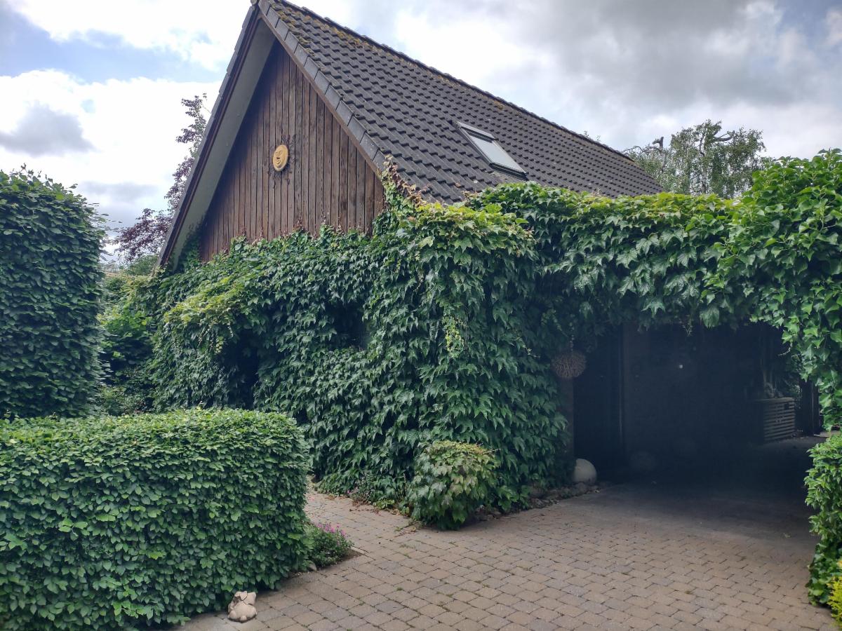 Presentatiebeeld van het pand n° 297944