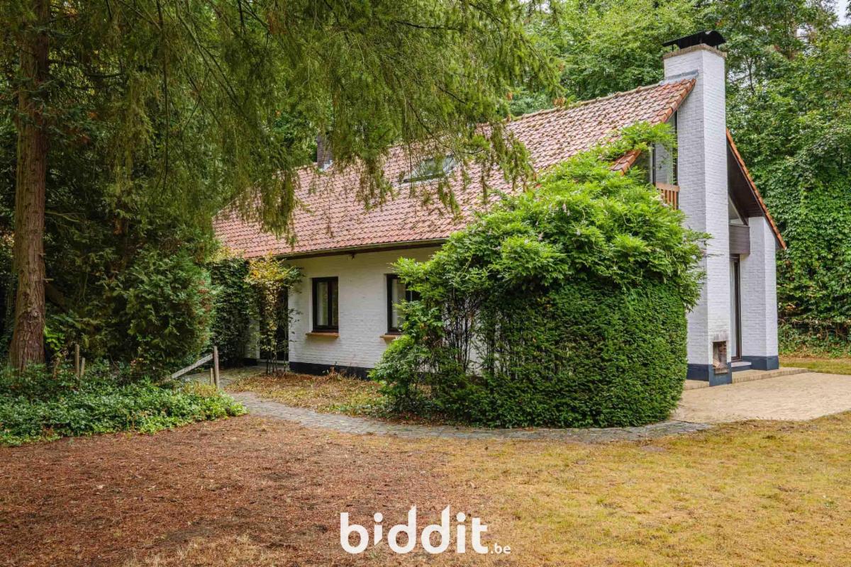 Presentatiebeeld van het pand n° 299818