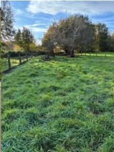 Tweede alternatieve foto van het pand