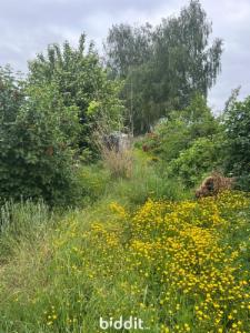 Derde alternatieve foto van het pand