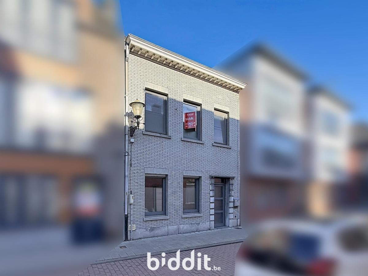 Presentatiebeeld van het pand n° 294520