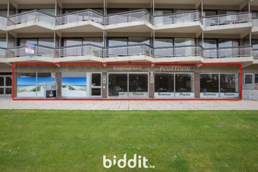 Presentatiebeeld van het pand n° 295659