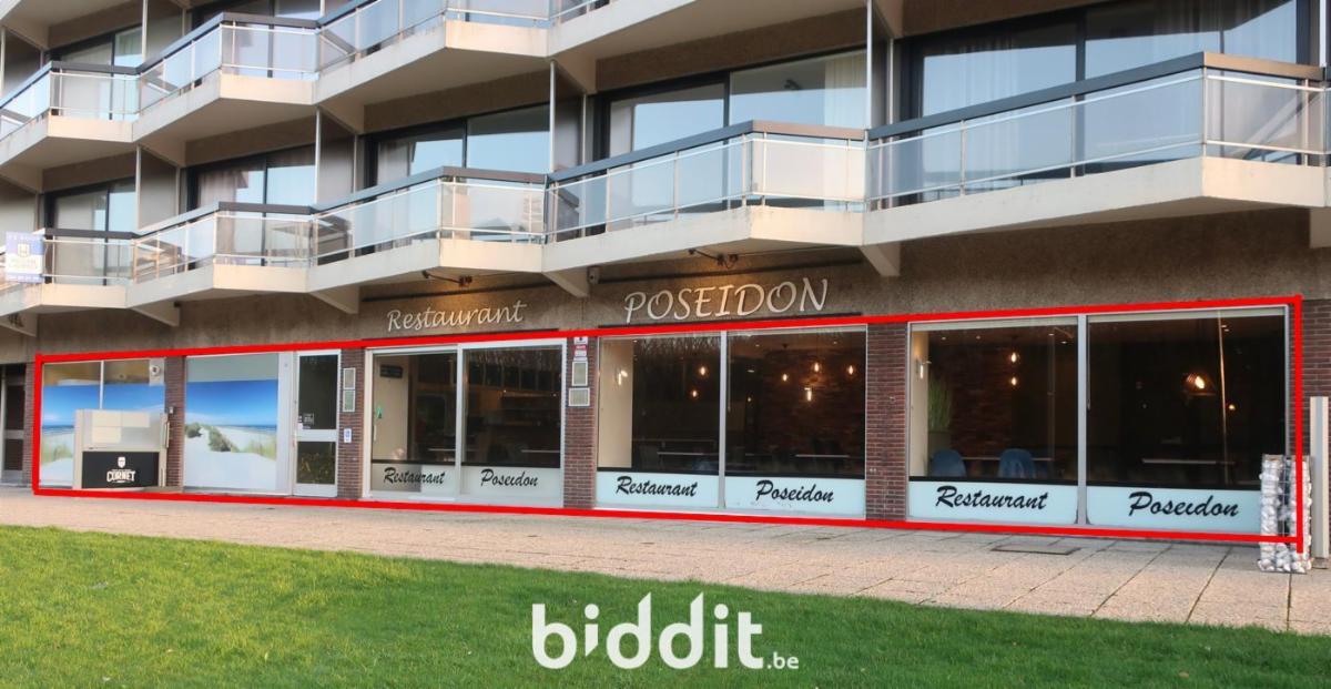 Presentatiebeeld van het pand n° 295659