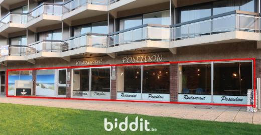 Presentatiebeeld van het pand n° 295659